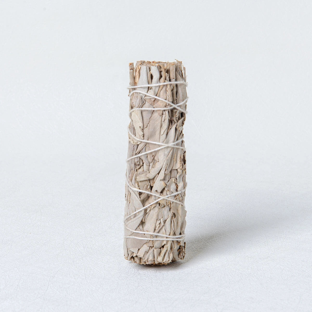 美國加州白鼠尾草 | 淨化空間負能量